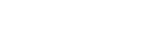 IronPaay Logo
